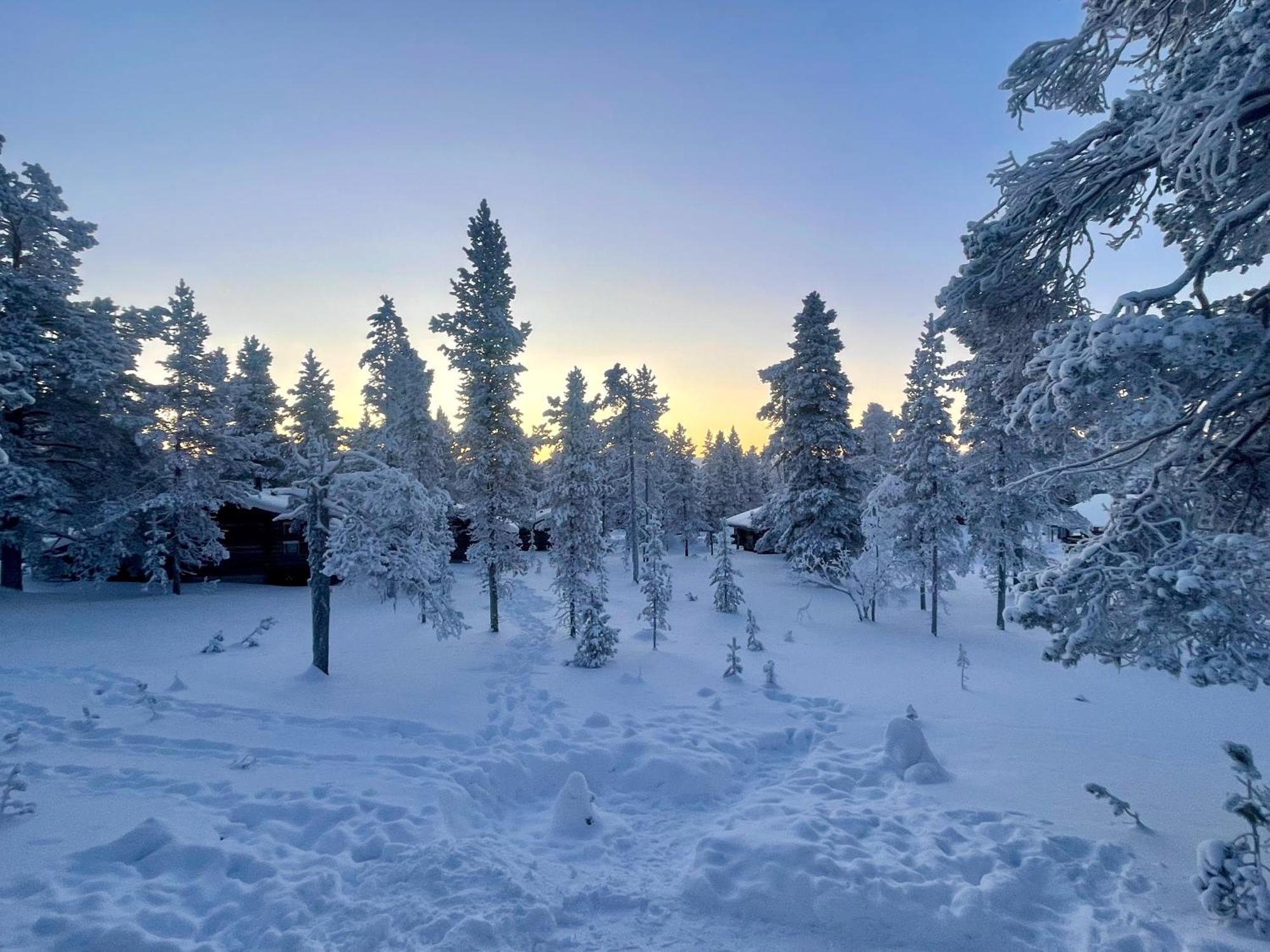 Arctic Log Cabins Saariselka Ngoại thất bức ảnh